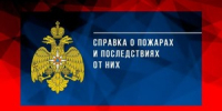 С начала года в Псковской области произошло более 2,6 тысячи пожаров, погибли 44 человека - Luki.Ru