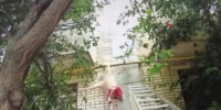 В Волгодонске выпавшие из окна две пенсионерки чудом спаслись, повиснув на трубе - DonDay.Ru