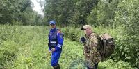 В Ленобласти в лес ушел мужчина с собакой и заблудился - Spbdnevnik.ru