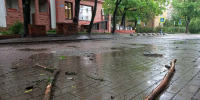 «Разгребать ещё неделю»: Калининград ошарашили последствиями урагана - ИА Русский Запад