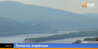 Дышите... не дышите — запах гари вновь накрыл Красноярский край - Седьмой канал