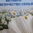 В Луганске прошёл фестиваль «Её величество СЕМЬЯ» - Министерство труда и социальной политики ЛНР