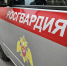 В Центральном районе сотрудники Росгвардии задержали двоих правонарушителей, ограбивших и избивших прохожего - Росгвардия