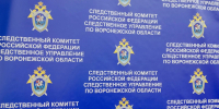 Жительница Новохоперского района подозревается в оскорблении и применении насилия в отношении сотрудника полиции - Следственный комитет