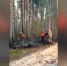 В Немском округе оперативно потушили лесной пожар - ГТРК Вятка