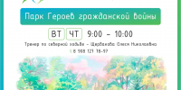 В Курской области запустили занятия по северной ходьбе для жителей старше 55 лет - Курская правда