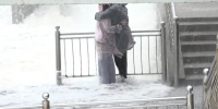 Калининградская область в День семьи, любви и верности оказалась под ударом мощного циклона Бернадетт - Калининградская ГТРК
