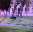 В Красногвардейском районе собака набросилась на маленькую девочку - ГТРК Санкт-Петербург