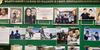 В День семьи, любви и верности в Забайкальском Росприроднадзоре прошла выставка - Росприроднадзор