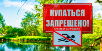 В ЗЕЛЕНОГРАДСКИХ ВОДОЕМАХ ЗАПРЕТИЛИ КУПАТЬСЯ - Экооборона Московской области