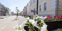 Стародубцев в «цифре», показ пушистых модников, фестиваль еды: афиша Тулы и области на 11 и 12 июля - ИА Тульская служба новостей