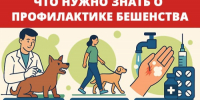 Нажмите для предварительного просмотра изображения - Дальнереченский городской округ