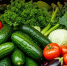 Жителям Южно-Сахалинска напоминают о местах реализации овощной продукции местных производителей - Администрация г.Южно-Сахалинск