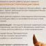Благотворительный Фонд помощи бездомным животным «Бирский Хатико» стал победителем Фонда Президентских грантов с проектом «Когда собака - друг и лекарь». - Караидельский район