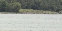 место для купания - Петрозаводск говорит