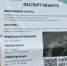 Фонтан и благоустроенная общественная зона появятся в Красноозерном - Online47.Ru