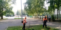 Дорожная служба продолжает выполнение летних видов работ - Администрация г. Барнаул
