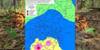 Сводка пожароопасности на 08.07.2026 - Министерство лесного хозяйства