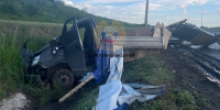Полицейские ищут очевидцев смертельного ДТП с «ГАЗелью» в Гагаринском районе - Четвертая Власть