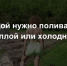 Какой водой нужно поливать огород - теплой или холодной? Передайте родным - и сами запомните раз и навсегда - Prochepetsk.ru