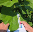 You are viewing the image with filename 20260708_143917.jpg - Самарский ГАУ