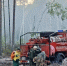 В Кировской области потушили замеченный с самолета пожар в лесу - ProGorod.Ru