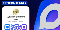 Официальный канал Макс судов Хабаровского края - Ленинский районный суд