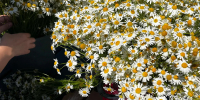 You are viewing the image with filename 13de6800-bdea-4bba-8abb-4cf83c9b0bf4.jpg - КГМУ