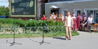 Дарите ромашки от чистого сердца! - Родная Нива