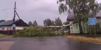 ураган повалил деревья - Новый Компаньон