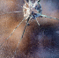 22 мирных жителя Белгородской области пострадали при ударах ВСУ за сутки - БелПресса