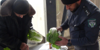 Более 620 партий подкарантинной продукции для торговых сетей страны проконтролировано Управлением Россельхознадзора по Республике Дагестан - Россельхознадзор