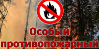 Введен особый противопожарный режим!. - Администрация г. Димитровград