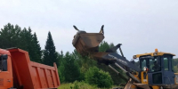 На дороге «Сарапул-Воткинск» насмерть сбили лося - Сусанин