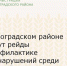 В Зерноградском районе пройдут рейды по профилактике правонарушений среди водителей мототранспорта - Зерноградский район