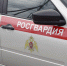 Двух подозреваемых в краже из магазинов задержали в Михайлове - RyazPressa.Ru