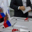 Более двух тысяч членов комиссий проинформируют амурчан о выборах - ИА Порт Амур