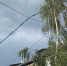 img - ЛДПР