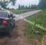 В Щекинском районе 12-летний велосипедист попал под машину - ИА Тульская служба новостей