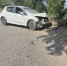Пьяная девушка за рулем врезалась в дерево в Волжском: пострадали двое - Volzsky.Ru