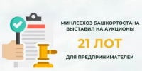 Минлесхоз Башкортостана выставил на аукционы 21 лот для предпринимателей - Министерство лесного хозяйства