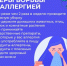 Саратовские врачи рассказали, как бороться с аллергией  - Газета Народная трибуна