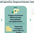 Ввоз лекарственных препаратов стоимостью 300 тыс. рублей пресекли североосетинские таможенники - Северо-Кавказское таможенное управление