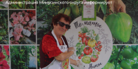 С 10 июля стартует прием заявок на ярмарку Дня помидора. - Администрация