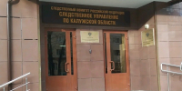 В Калуге стая бродячих собак напала на ребёнка - NgRegion.Ru