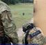 Самарские телеканалы рассказали об учебно-методическом сборе сотрудников ОМОН Росгвардии (видео) - Росгвардия
