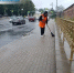 На десяти улицах Смоленска выполнят покос придорожных полос - Смоленская газета