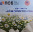 ПСБ в Луганске принял участие в праздновании Дня семьи, любви и верности - Луганский Информационный Центр