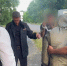 Мужчина зарезал брата из-за наркотиков в селе Александровском - ИА Победа 26