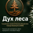 Превентивная медицина в действии: АГМУ разворачивает клиническое исследование в рамках гранта Президента РФ экопроекта "Дух Леса" - АГМУ